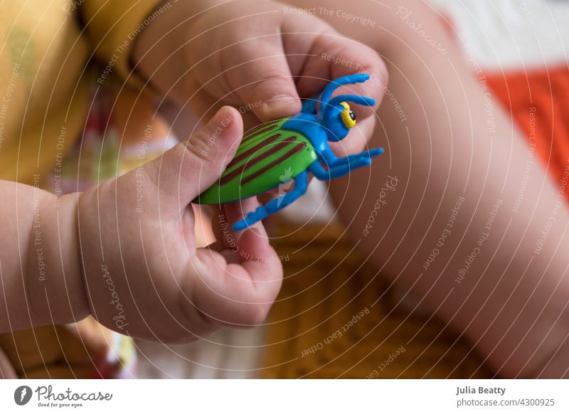 Toddler playing with a colorful plastic bug toy; using hands to manipulate small object developmental milestone toddler one year old child baby young grasp hold