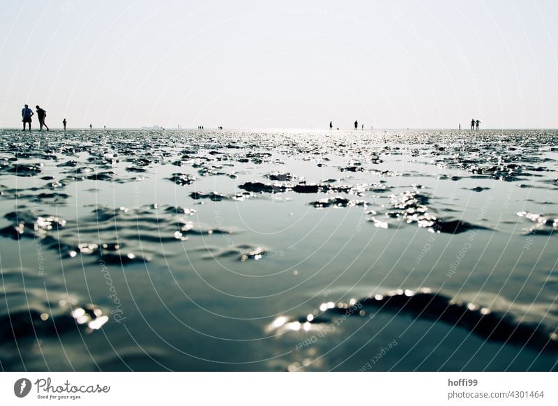 Persons in the event of rising water on the tidal flats Mud flats mudflat hiking tour ebb and flow High tide accruing water North Sea coast gleaming