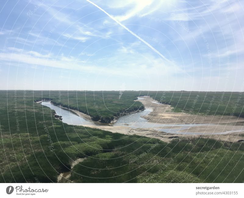 Wattn sea! North Sea Nature reserve Experiencing nature Love of nature Exterior shot Colour photo Environment Deserted Day Light Green Central perspective