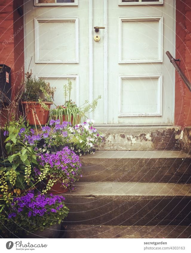 Color contest | gradual to summer Summer Stairs stagger Upward door Entrance Front door flowers Flowerpot Cozy at home Old building vintage Deserted