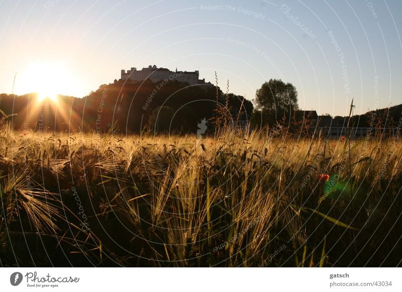 Salzburg Fortress Austria Sunset Straw Mountain