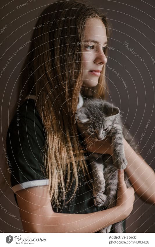 Tender teen girl holding kitten in studio cat embrace teenage tender friend dreamy carefree animal adorable pet thoughtful cute domestic pensive mammal happy