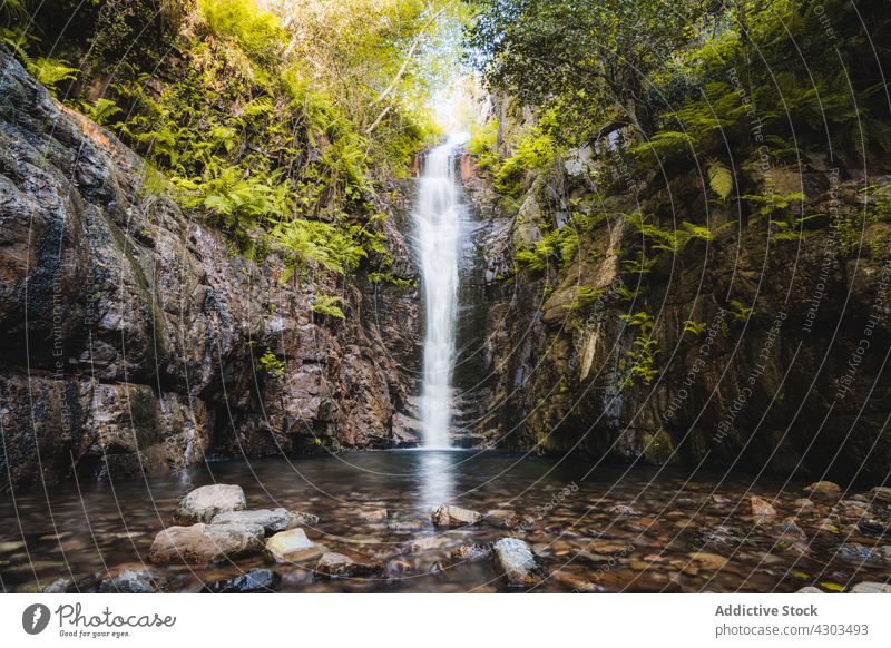 Close-up of a waterfall in the middle of a forest natural nature river green travel outdoor scenic landscape stream rock summer beautiful background tree