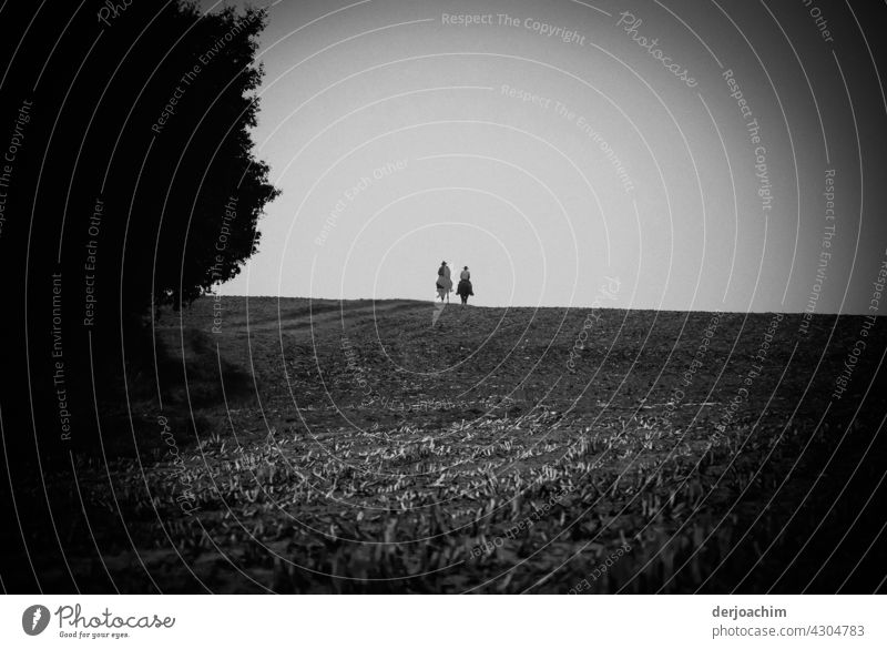 On the back of the horses.....Two lonely riders in the open countryside, in autumn on harvested fields, riding past a forest on the left.The background is bright.