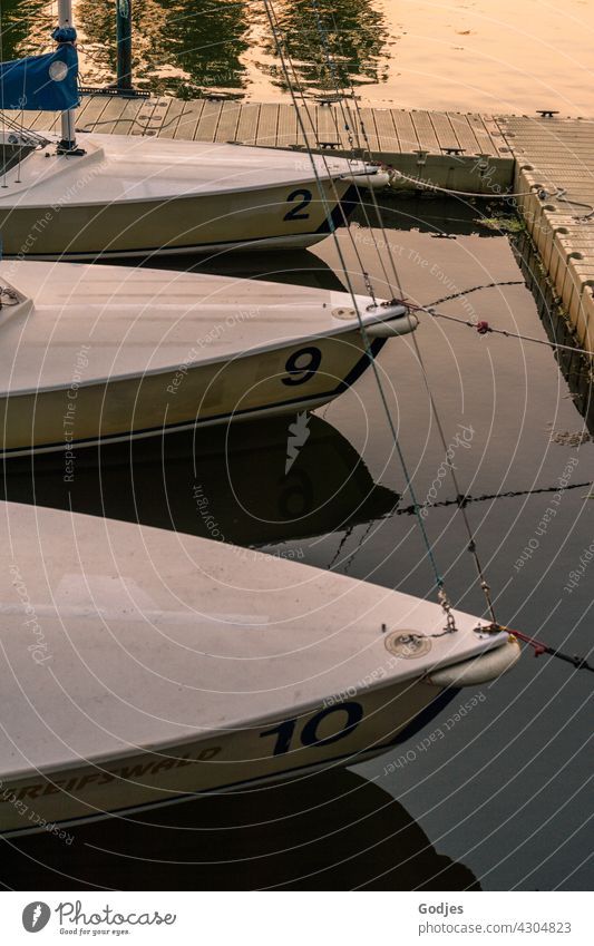 Ship's bow of three sailing boats with different numbers as identifiers moored at the jetty Schiffsbuge Sailboat two ten nine Footbridge Water White Greifswald