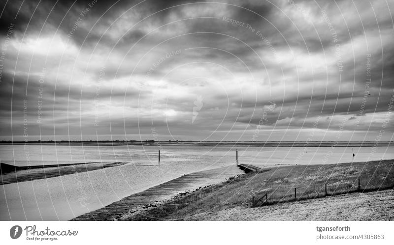 Siel in Emden dollar siel Ems East Frisland Landscape Exterior shot Nature Water coast Ocean Deserted Low water Low tide Dike cloudy Sky Horizon Tide