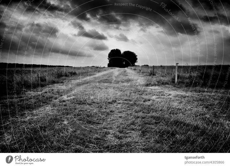 dirt road off the beaten track Clouds cloudy cloudy sky cloudy weather Deserted Landscape Exterior shot Emsland Field Meadow depressing Threat Loneliness