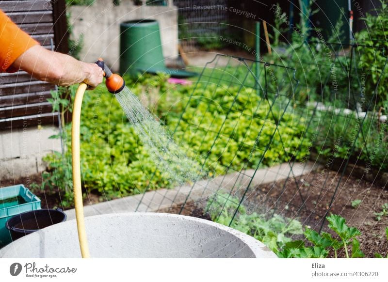 One person watering the garden with a garden hose Garden Cast Garden hose Irrigation Water Gardening Gardener Water hose Summer Green plants prate