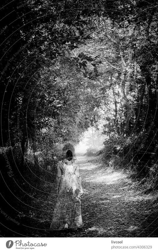 woman walking romantically through an autumn forest , france path surrounded coast green greeny rocks pathway people lifestyle human human factor defocused