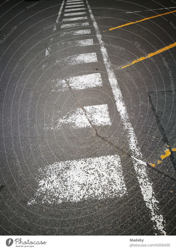 Faded markings in white and yellow for pedestrians and parked cars on grey asphalt in Bielefeld in the Teutoburg Forest in East Westphalia-Lippe Street