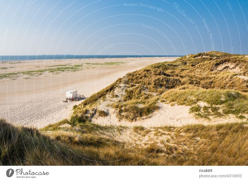 Landscape in the dunes in Norddorf on the island Amrum Beach duene northern village Schleswig-Holstein Island coast Ocean voyage Marram grass vacation