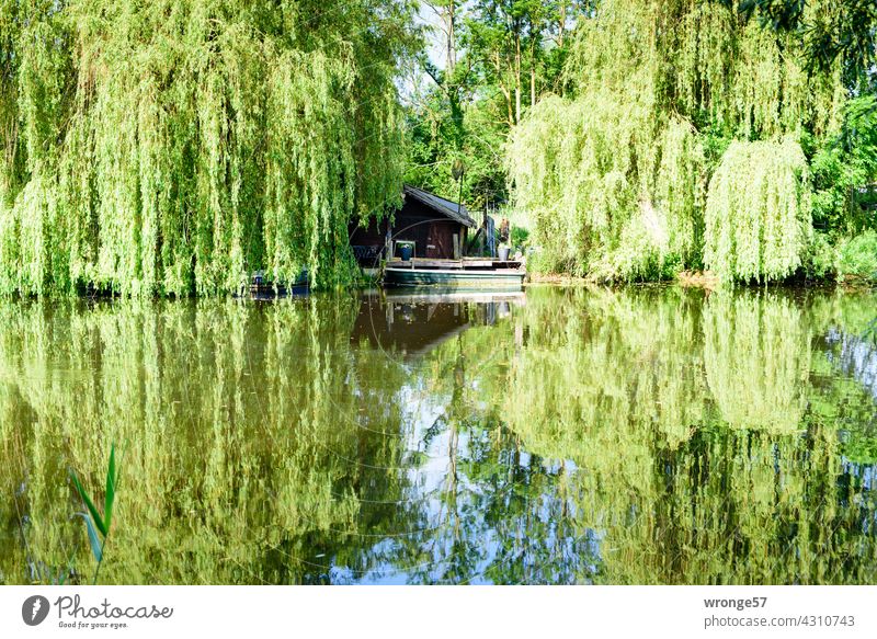 Interspaces | in nature THEME DAYS Spaces Nature River bank Warnov Warnowufer reflection Relaxation retreat Water Exterior shot Colour photo Sky Reflection