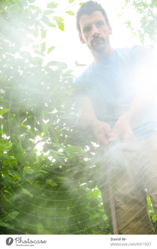 Water march - man waters plants with water hose soak Cast Water hose Wet aridity dry spell heat wave Summer Irrigation Hose Garden hose Man Gardener Gardening