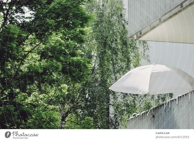 Summer in the city: balconies, a white parasol and lots of green behind the house Town urban Green White Balcony Balconies Facade Architecture Building