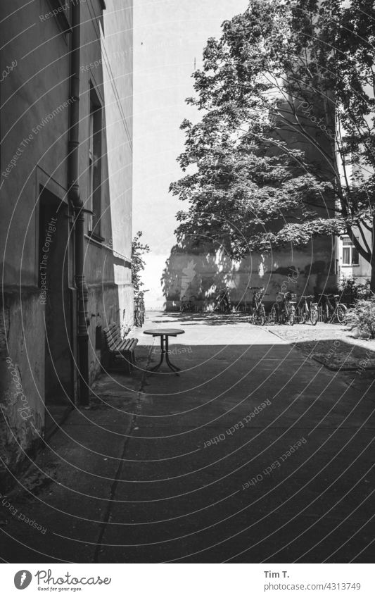 a Berlin backyard with a bench and a table b/w Prenzlauer Berg Summer Interior courtyard Backyard Deserted Bench Chair Table Town Exterior shot Downtown