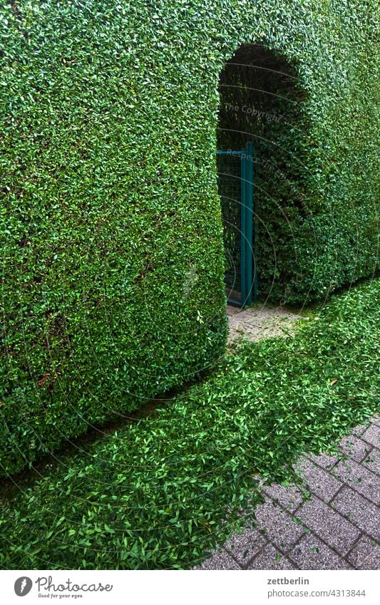 Freshly cut hedge Evening Relaxation spring Spring spring awakening Garden allotment Garden allotments Deserted Nature Plant tranquillity Holiday season