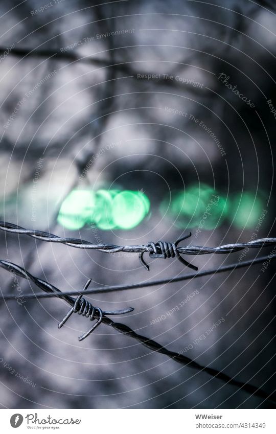 There is a green light, but the barbed wire prevents you from going any further Barbed wire repulse sb./sth. forbidden peak Dangerous prickles Fence defense