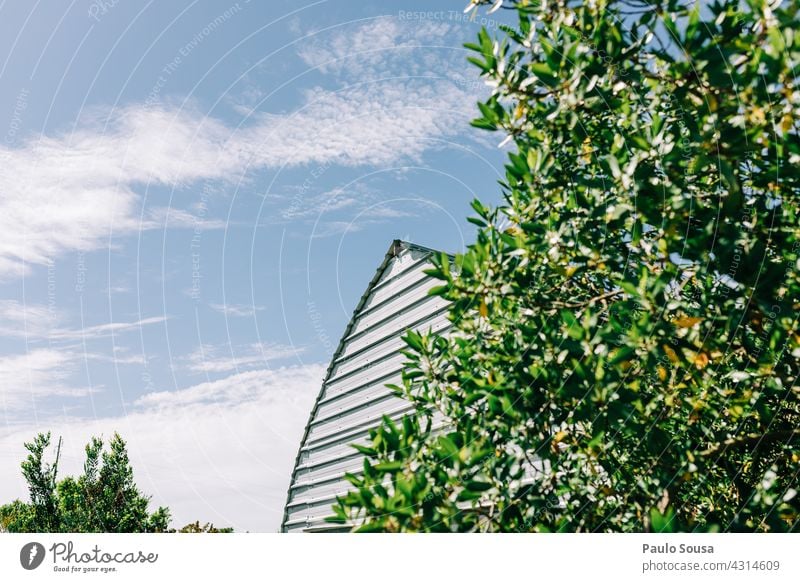 Root against the sky Roof Sky lines Curve Construction House (Residential Structure) Clouds Contrast Window Architecture Blue Town Building Facade High-rise