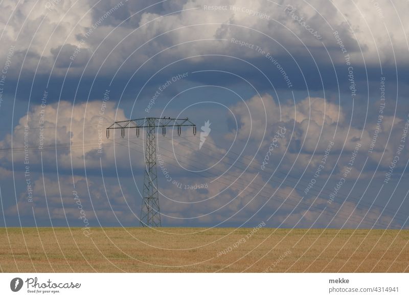 Power line over summer grain field against cloudy sky Electricity pylon power line Energy High voltage power line Energy industry Environment Energy crisis