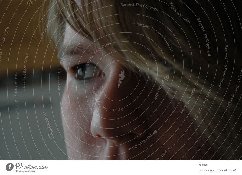 melo Portrait photograph Feminine Woman Eyes Nose Hair and hairstyles Face Looking Perspective