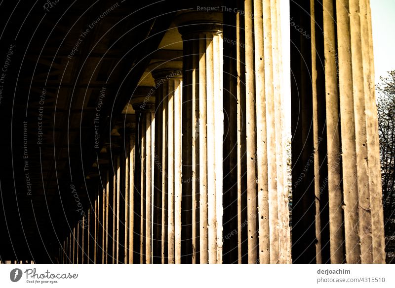 The columns of the Old National Gallery in Berlin , in the sunlight. Architecture Building Manmade structures Exterior shot Tourist Attraction Historic Deserted