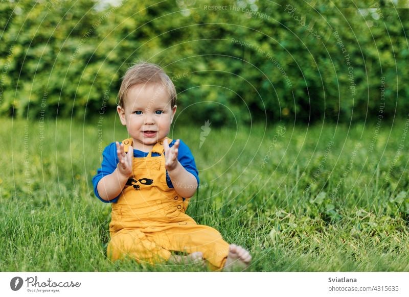 Happy charming baby boy in fashionable clothes sitting on the grass in the garden on a summer day child happy cute adorable kid green fun park meadow nature