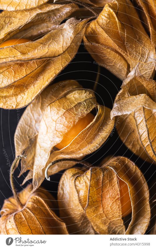 Pattern of physalis on dark table background seamless pattern fruit exotic peruvian groundcherry row line delicious organic orange set composition design