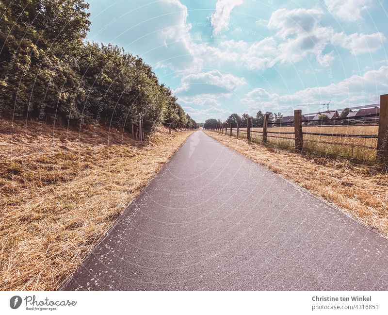 A path between planted embankment and fenced meadow on a beautiful summer morning. Grasses, poppies, chamomile and dove's-crop campion have already been mown down.... In the background residential houses and a crane can be seen.