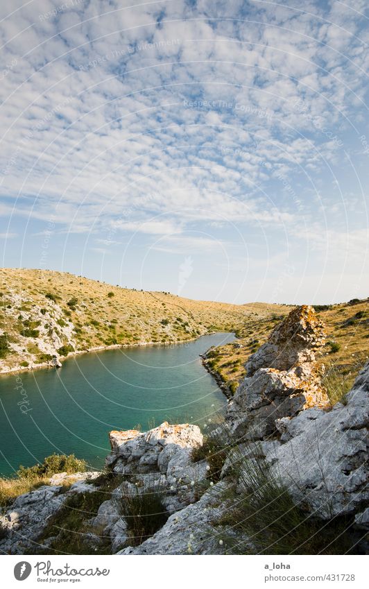 summertime Environment Nature Landscape Plant Elements Water Sky Clouds Horizon Summer Beautiful weather Warmth Bushes Rock Peak Coast Bay Ocean Blue Brown