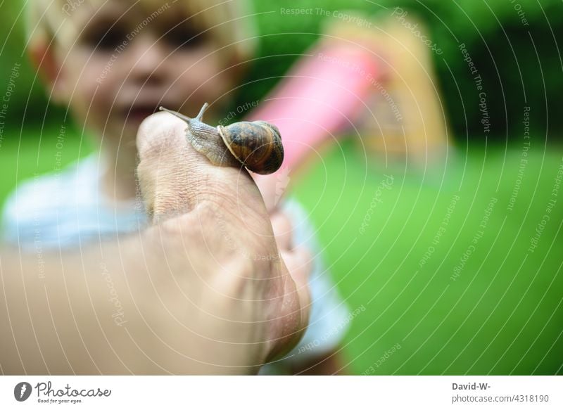 Father with child - experience nature Child Son Nature in common Together Family animals spellbound out explore Joy Enthusiasm