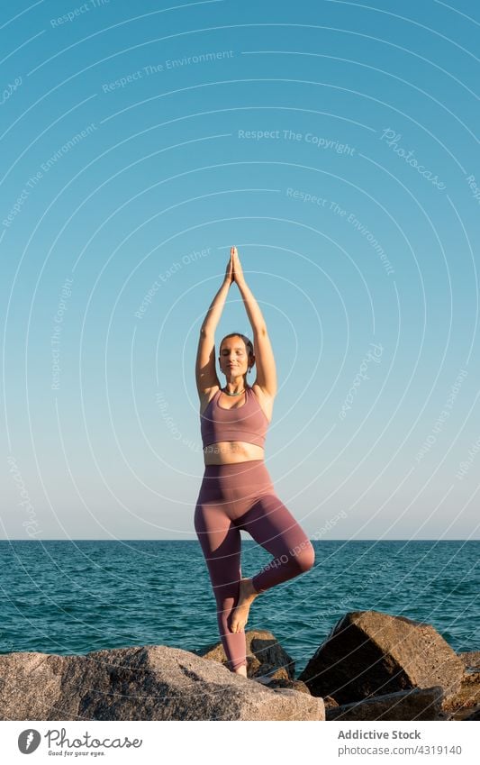 Woman in Tree pose doing yoga on seashore woman tree pose practice meditate balance beach vrksasana harmony female zen coast stone mindfulness rock wellness