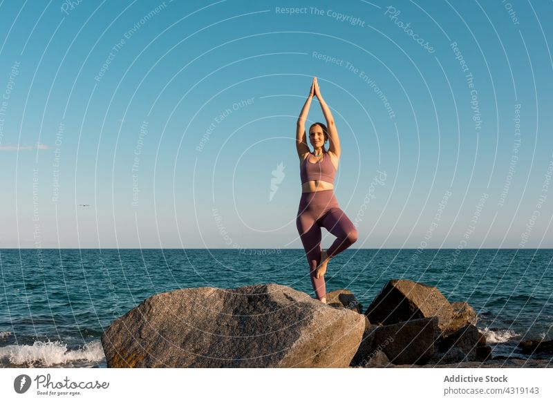 Woman in Tree pose doing yoga on seashore woman tree pose practice meditate balance beach vrksasana harmony female zen coast stone mindfulness rock wellness