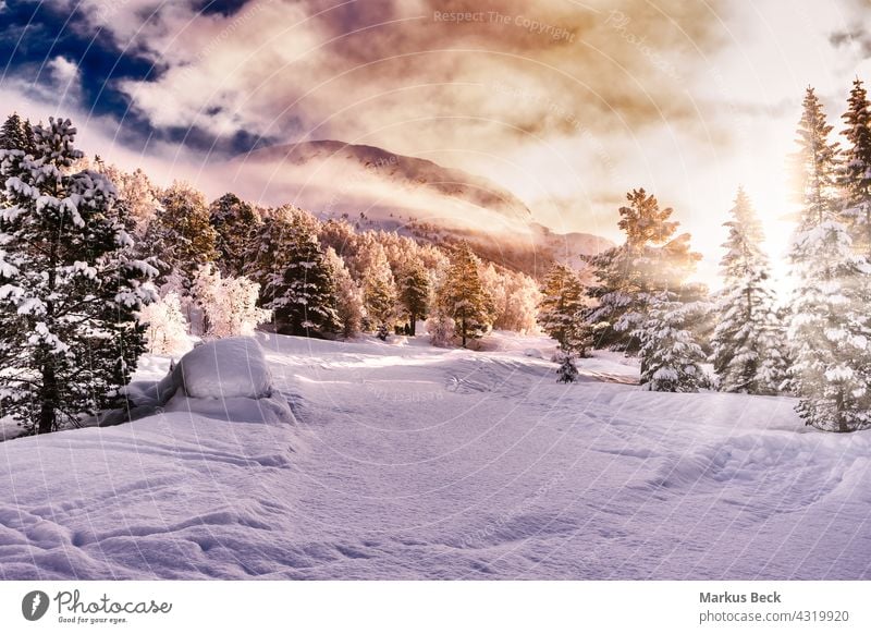 Christmas Snow Landscape with trees and sunflare, stryn, Norway christmas snow landscape cloudy sunrise sunset norway scandinavia background nature beautiful