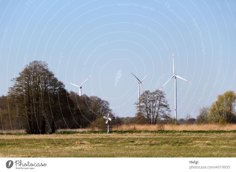 offspring ;-) - on a meadow is a mini wind turbine, behind trees in front of a blue sky are three big wind turbines Pinwheel Wind energy plant stream