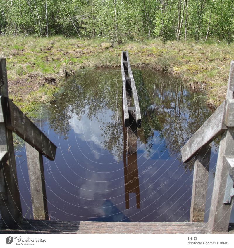 Water treading facility in the moor Bog Moor Water tread water water treading pool Stairs rail Wood entry swampy reflection Sunlight Beautiful weather