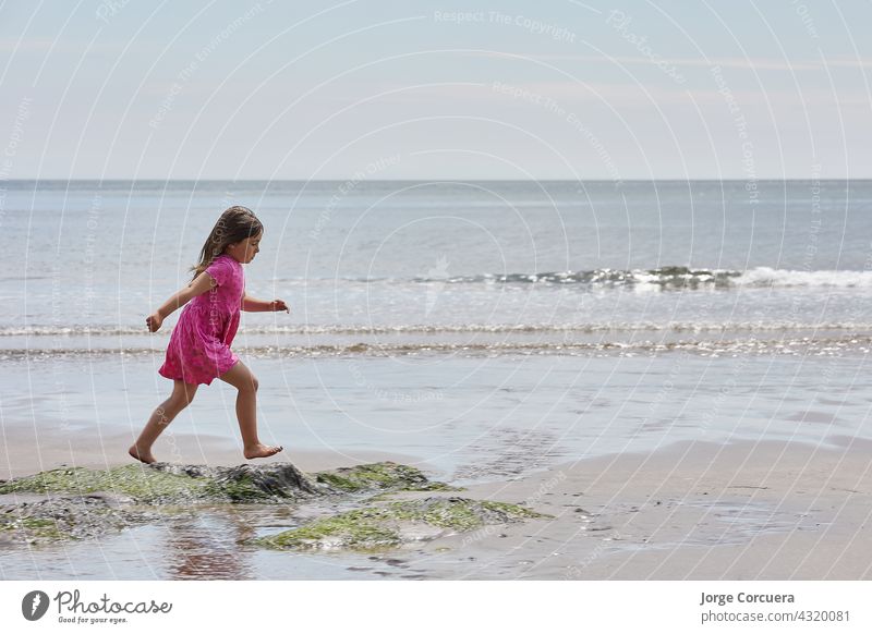 Adorable toddler girl playing with beach on white sand beach adorable kid summer young child childhood sea person cute caucasian lifestyle tropical coast people