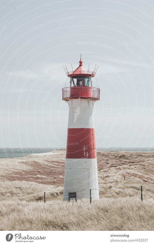 lighthouse Landscape Sky Clouds Horizon Summer Beautiful weather Warmth Drought Coast Beach North Sea Idyll Lighthouse Beacon Marram grass Dune Tower Navigation