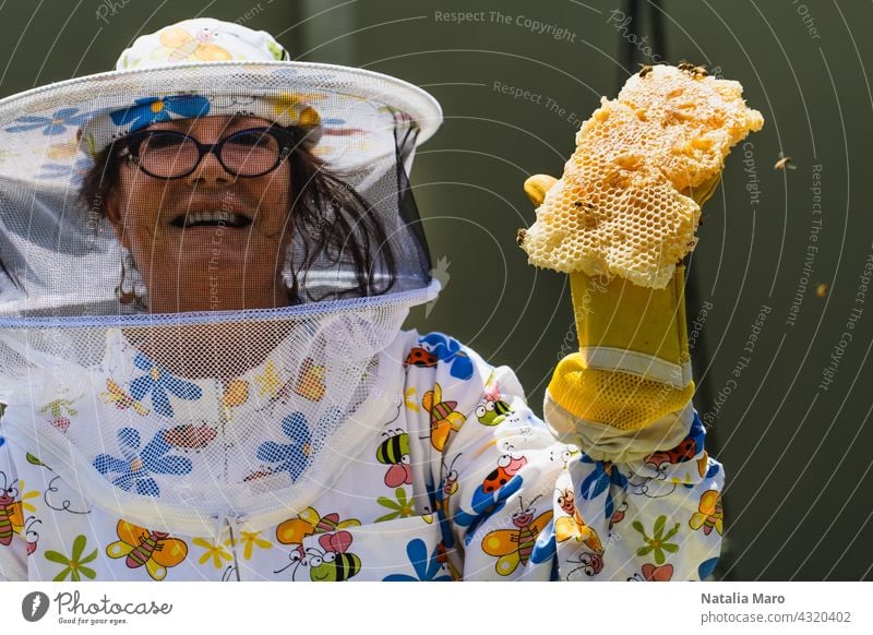 Beekeeper Beekeeper holding honey comb woman frame food summer nature spring beekeeper honeycomb hive farm people beekeeping apiarist agriculture apiary