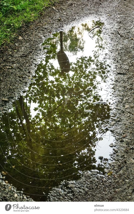 The crown of a maple tree and a round traffic sign are reflected in a puddle on a country lane. Puddle Water reflection Treetop off the beaten track Wet