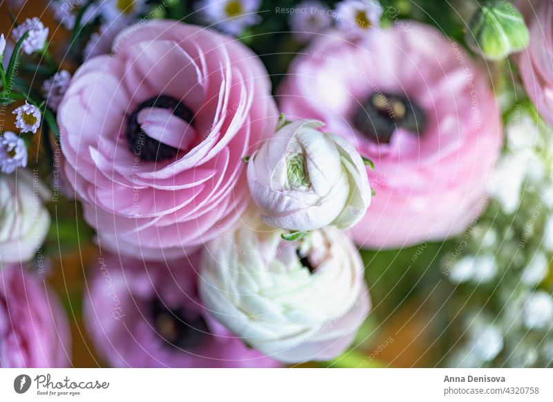 Tender ranunculus flowers bouquet trendy bunch buttercup bunch of flowers bloom bunch of ranunculus background Nordic floral ceramic vase pink Home Decoration