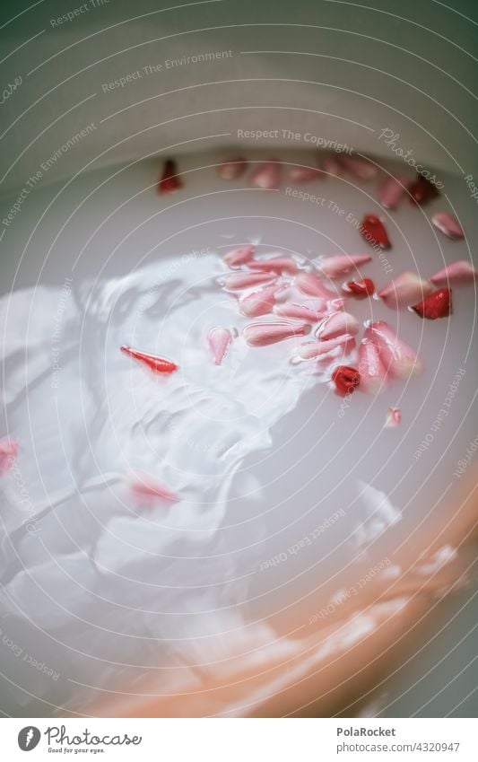 #A# Flower bath at the wellness weekend Wellness Wellness Concept wellness area Wellness treatment relaxation Milk flower bath Blossom leave Rose leaves roses