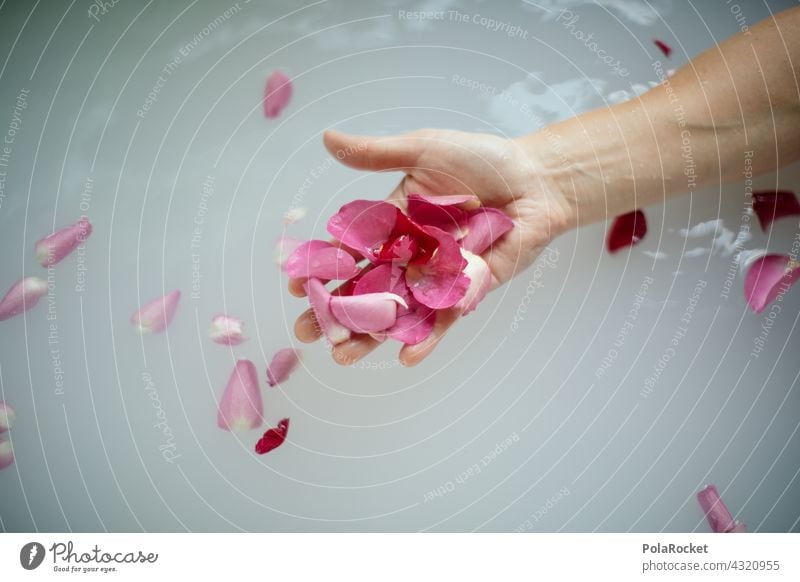 #A# Flower bath at the wellness weekend Wellness Wellness Concept wellness area Wellness treatment relaxation Milk flower bath Blossom leave Rose leaves roses