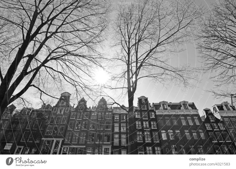 Winter in Amsterdam Netherlands Town canals houses black and white Downtown Channel Historic Old Tourist Attraction trees Cold