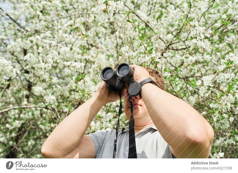 Man watching birds through binoculars in forest bird watching man observe traveler woods explore admire environment male adventure tree green summer nature