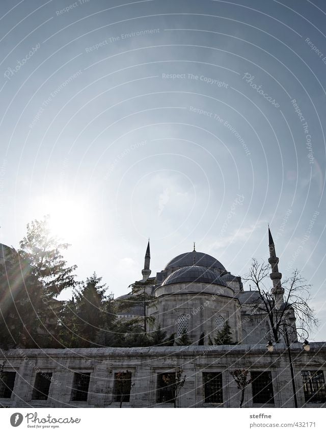 Divine Enlightenment Sun Sunlight Beautiful weather Esthetic Mosque Istanbul Islam Religion and faith God Awareness Süleymaniye Mosque Minaret Peace Calm Prayer