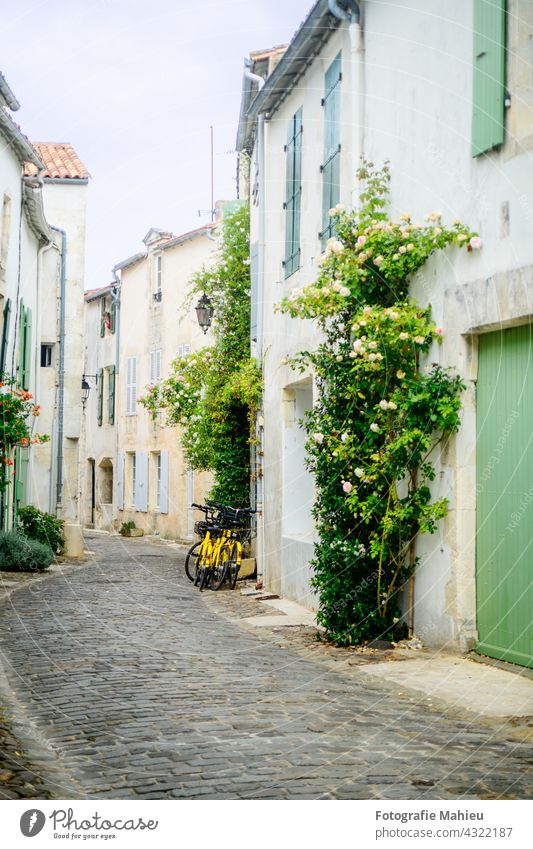 Small alley with pebbles on ile de Ré during summertime with yellow bikes and hollycock Charente-Maritime Flower France Ile de re Nouvelle-Aquitaine