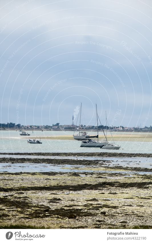 view from the beach of la patache on pleasure boats at lowtide with Ars-en-Ré in the background Charente-Maritime France Ile de re La patache Nouvelle-Aquitaine