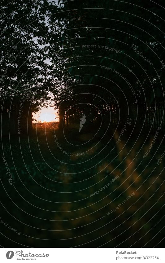 #A# Path to the sun Lanes & trails off Wayside Bend Perspective Sunset Field Meadow Goal door Opening Exterior shot Nature Sky Colour photo Landscape Grass