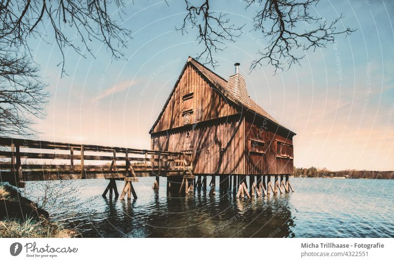 Pile house at the Plothen ponds / Thuringia Plothener Ponds Pile-dwelling slate mountains Lake Water Footbridge Bridge Wooden house bank trees branches twigs