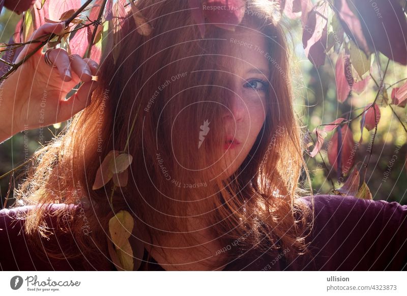 Portrait of a young lovely foxy girl with violet top, beautiful sexy attractive fiery woman, ginger, redhead, under violet autumn bush, red hair beauty